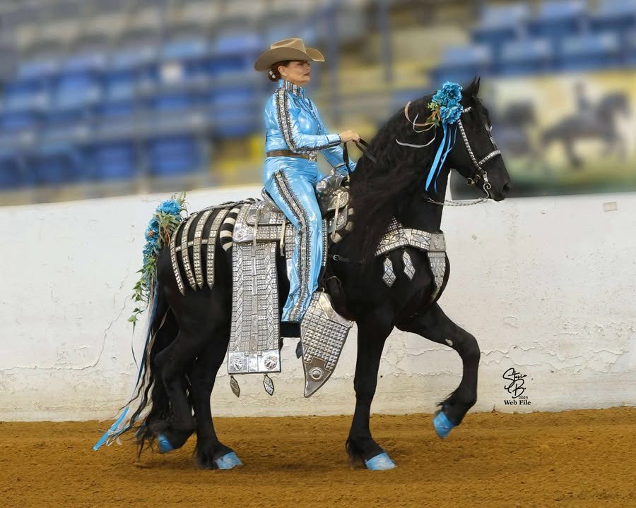 Kevin - 🏆 NATIONAL CHAMPION in Custom KGO 🏆 