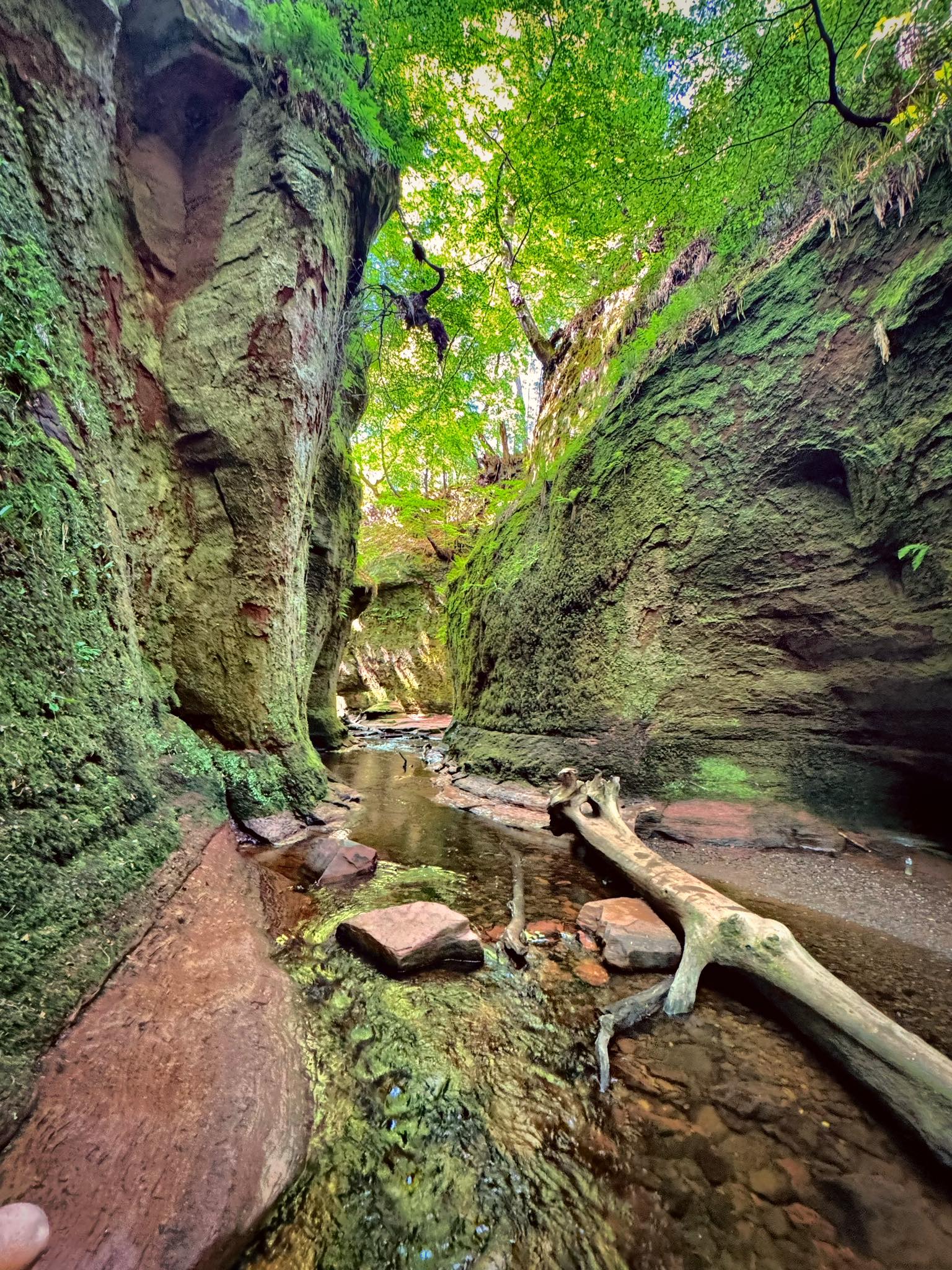Visit - The Devil’s Pulpit. Finnich Glen, Scotland 🏴󠁧󠁢󠁳󠁣󠁴󠁿 Breathtaking ...