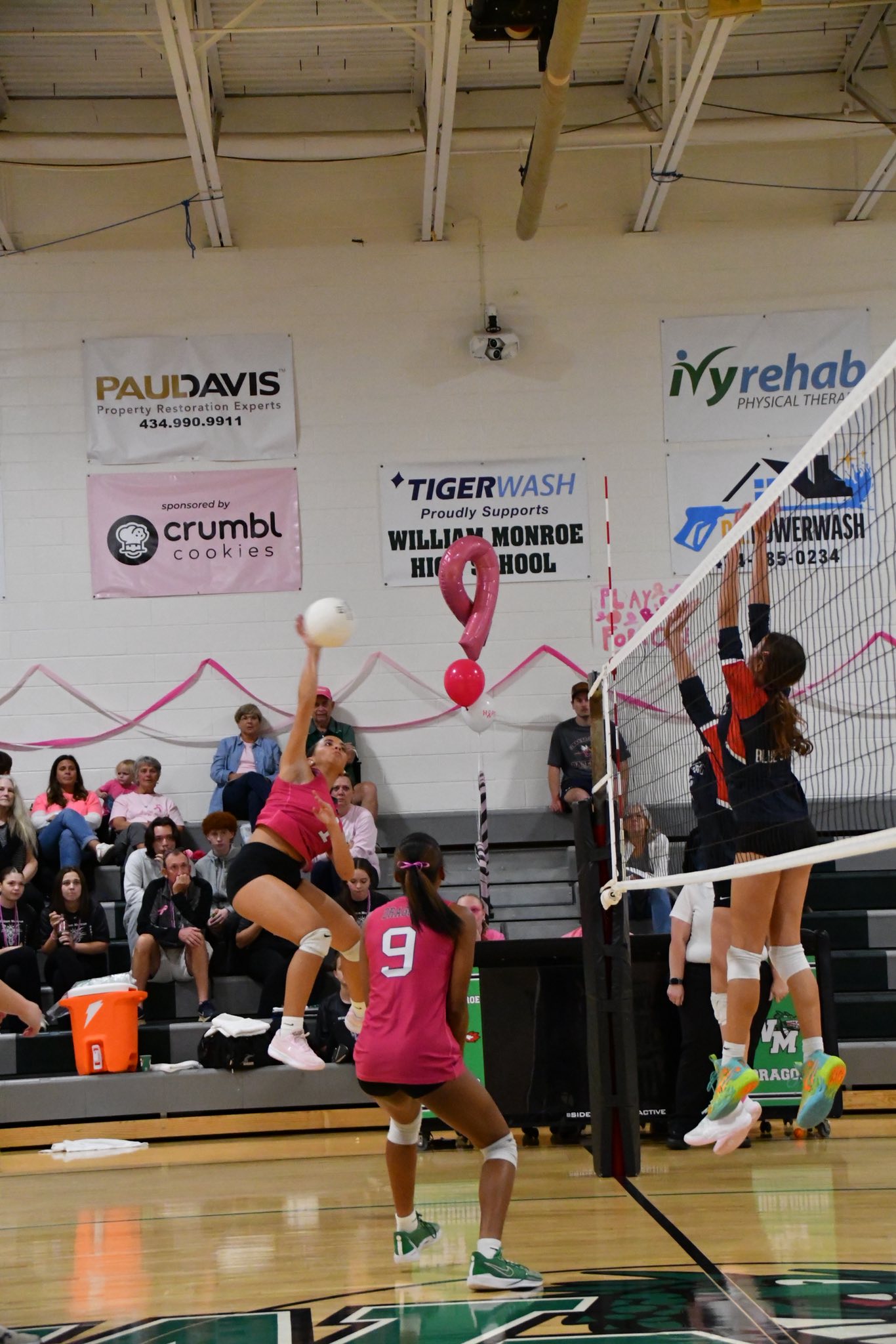 WMHS Lady Dragons... - WMHS Lady Dragons Volleyball