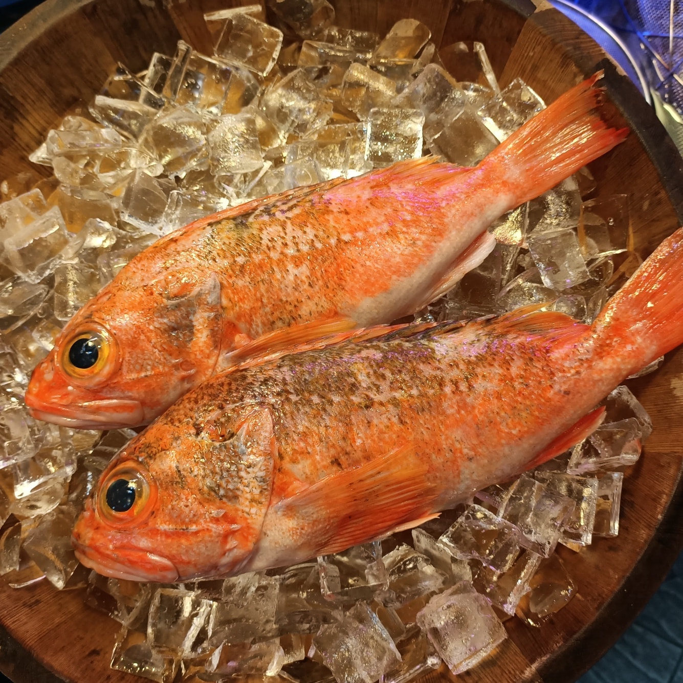 艋舺熱海 海鮮餐廳 - #艋舺熱海特色菜 #鹹酥石狗公 石狗公魚 （或稱石頭公）...