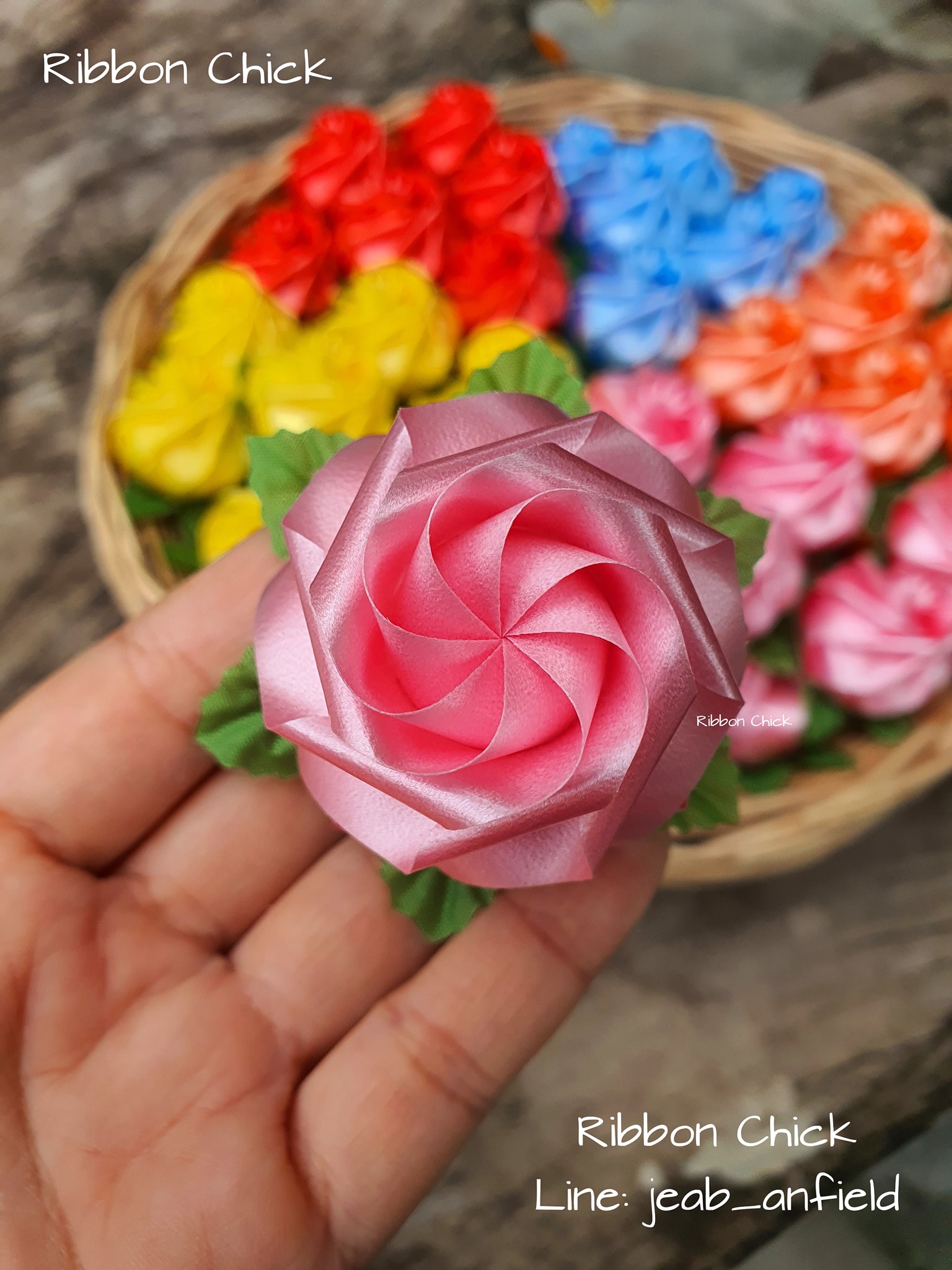 เก็บภาพ 📣📣 #ดอกกุหลาบแย้ม 🌷🌷... - Ribbon Chick เหรียญโปรยทาน | Facebook