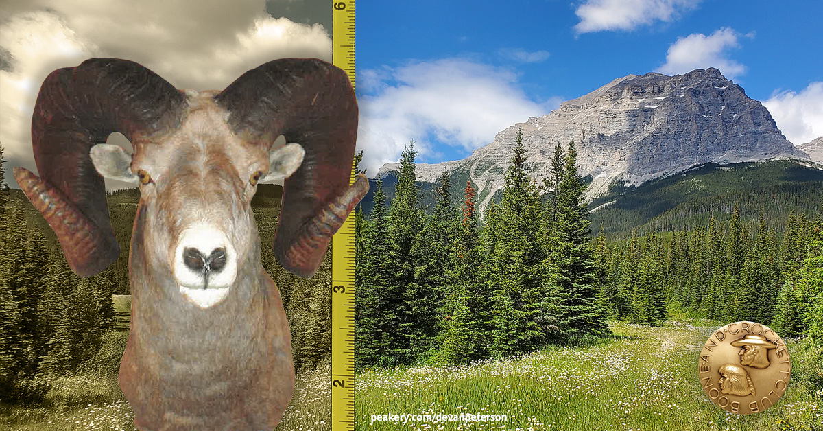 Boone - Martin Bovey’s first big game hunt at 14 set him on a lifelong ...