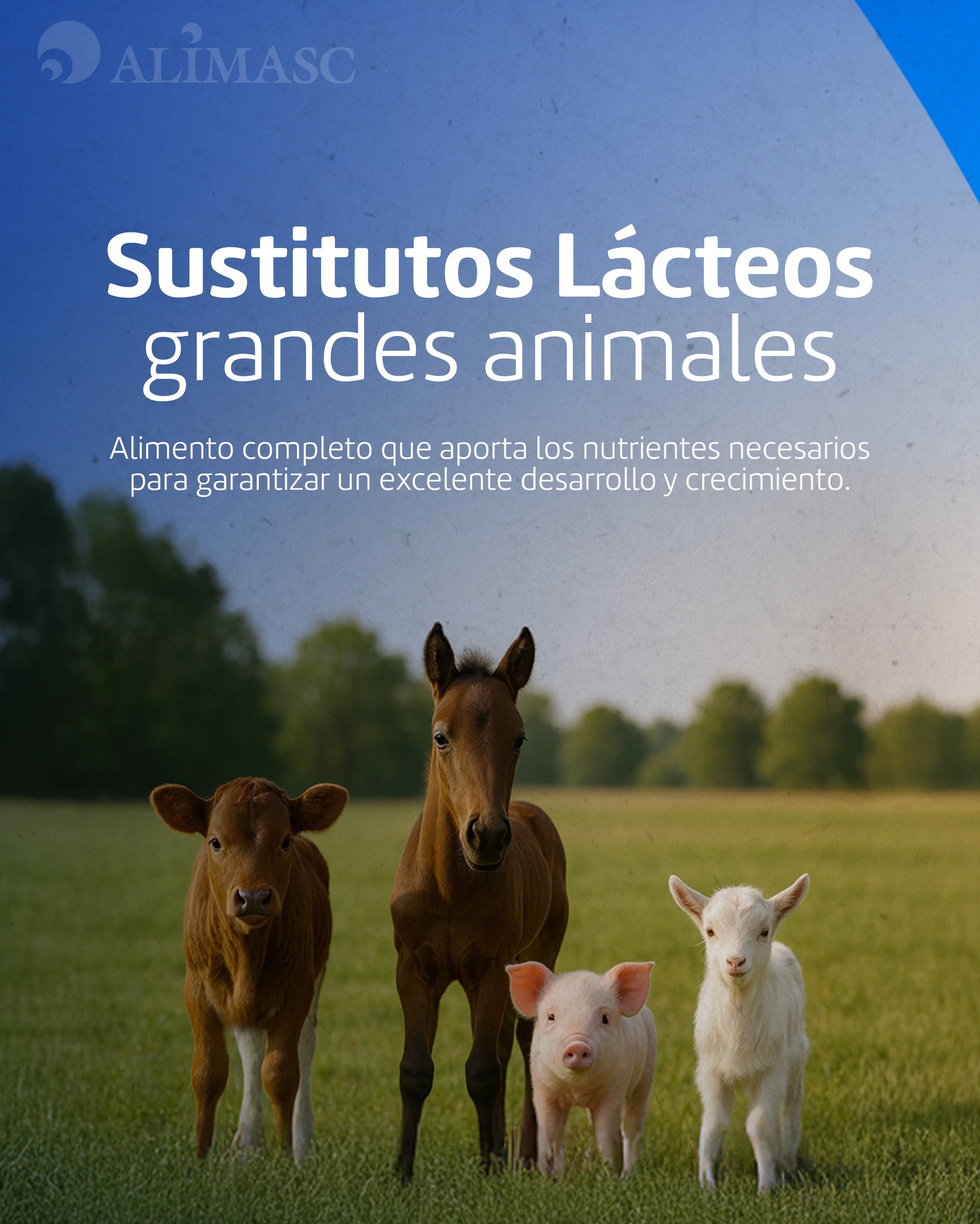 Alimasc - Sustitutos Lácteos para animales -Especialistas en ...