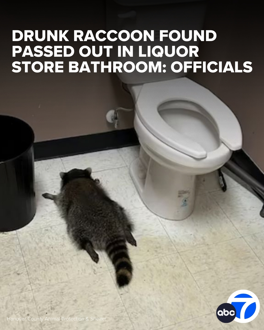 ABC7 - Virginia authorities found the 