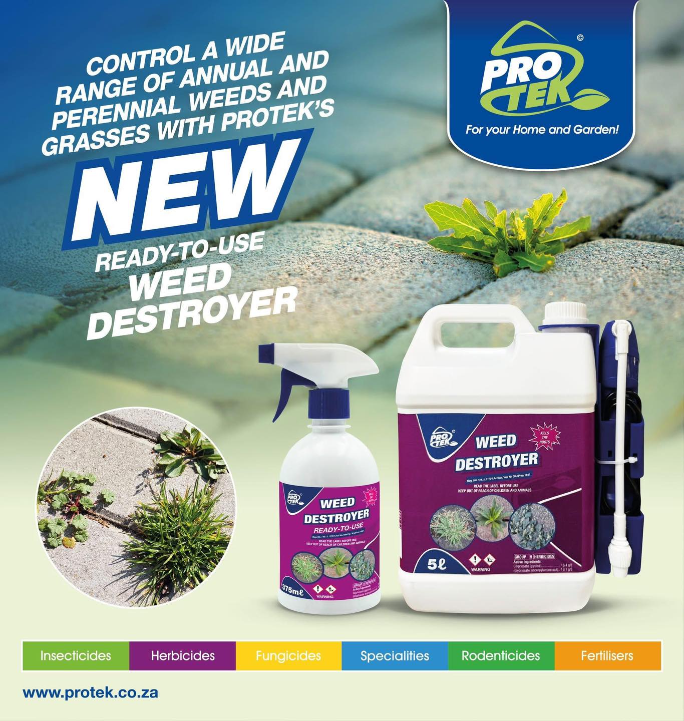 🚨New product alert 🚨 👀 Ready to... - Lots of Pots Centurion | Facebook