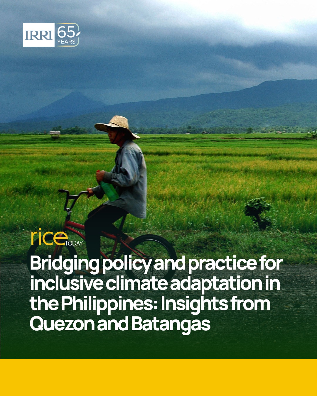 IRRI - Rice Today: The agricultural sector in the... | Facebook