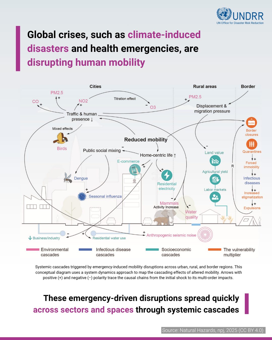 UNDRR - 📍 Human mobility in disasters is a highly complex process ️ A ...