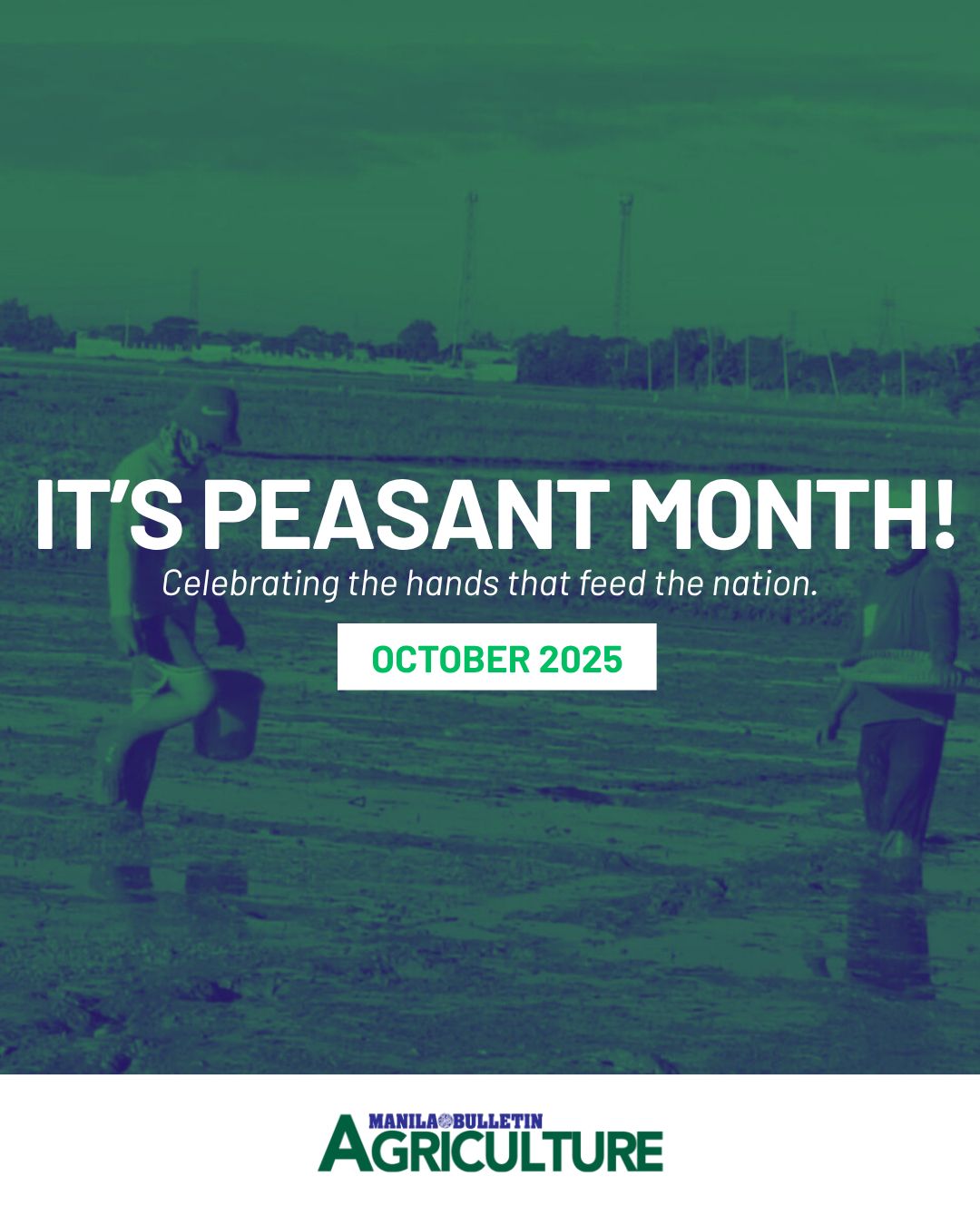 Agriculture - Farmers are the backbone of our nation, indispensable ...