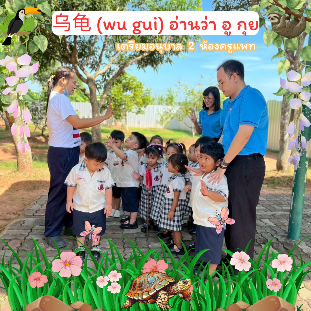 🐢 เต่า เต่า เต่า…... - Joy Bilingual School | Facebook
