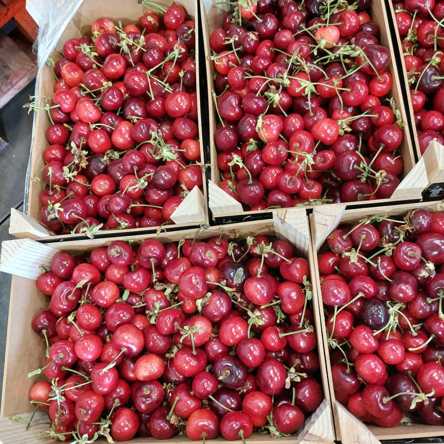Sentido da Fruta Lda. added a new... - Sentido da Fruta Lda.