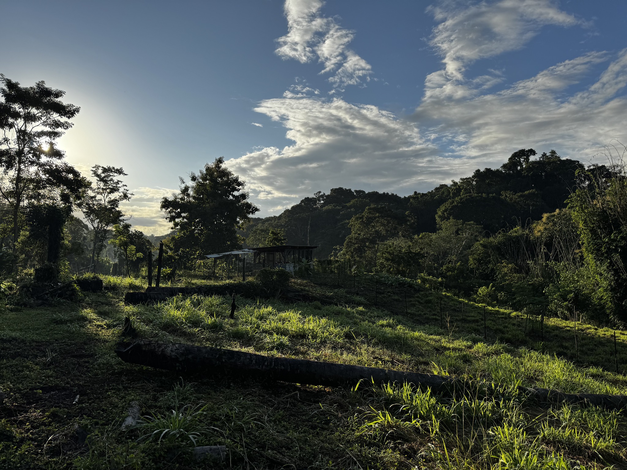 maya-mountain-research-farm-one-of-the-design-groups-facebook