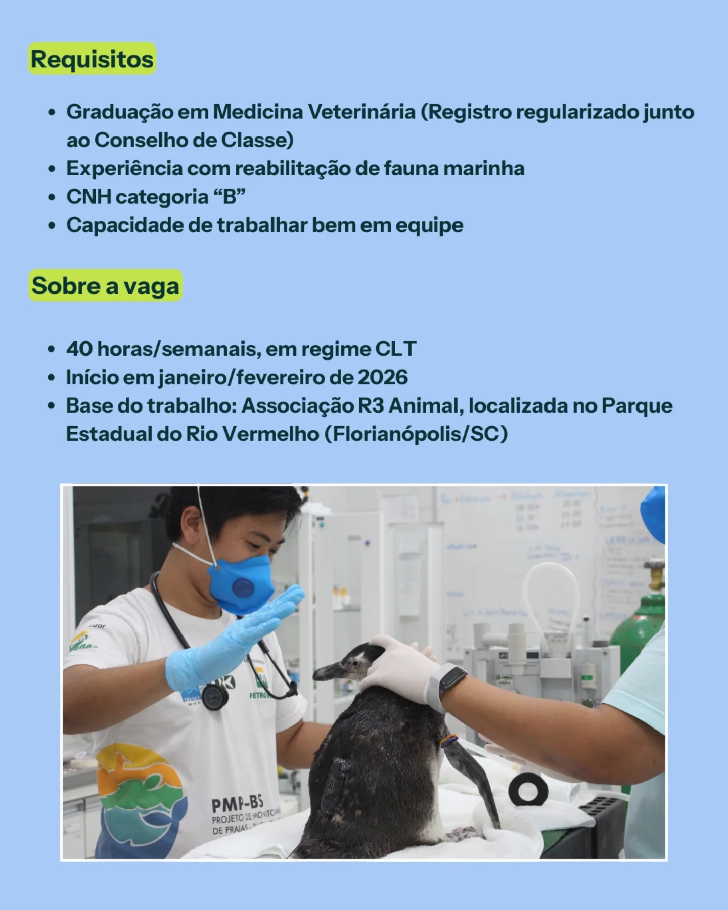 Associação R3 Animal added a new photo. - Associação R3 Animal