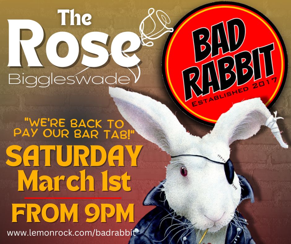 Bad Rabbit