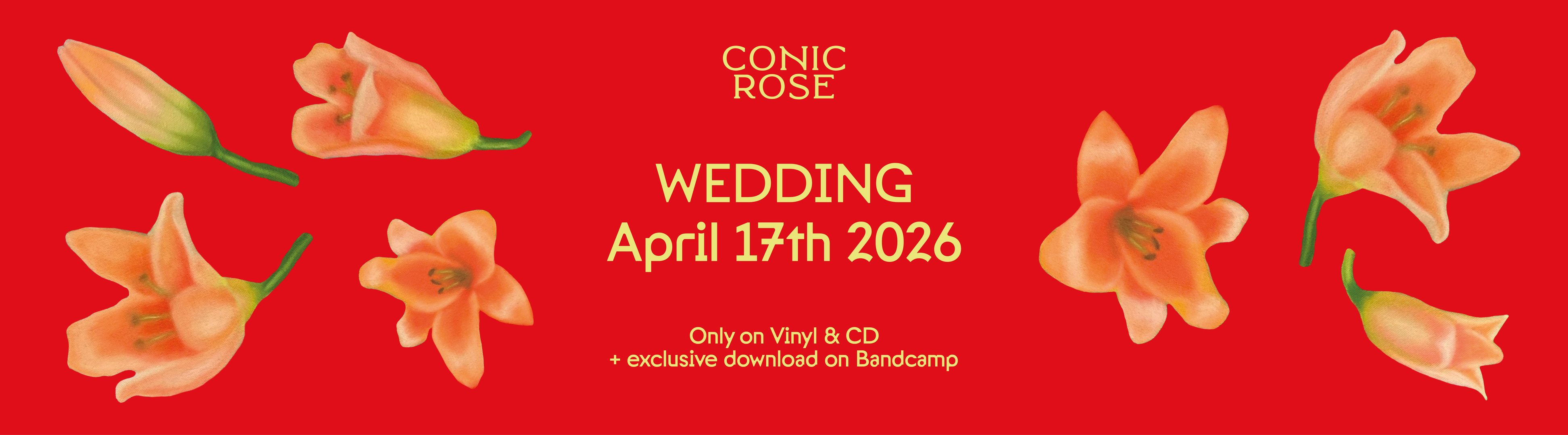 Conic Rose