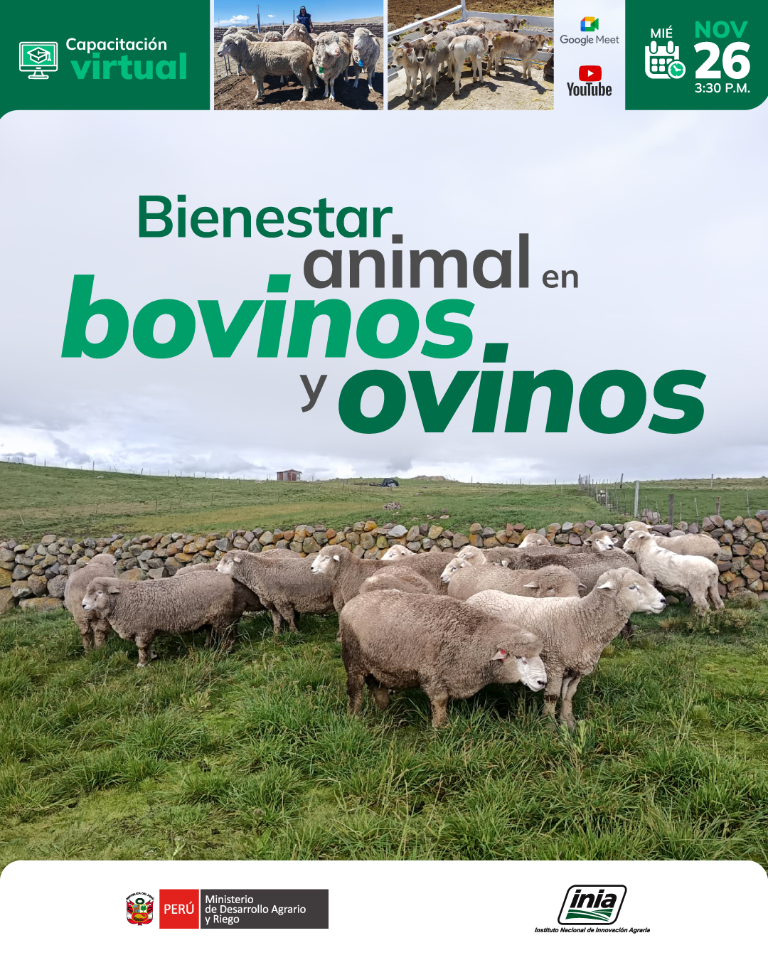 Instituto - 📣 Atención | El Progan, te invitamos a participar de la ...