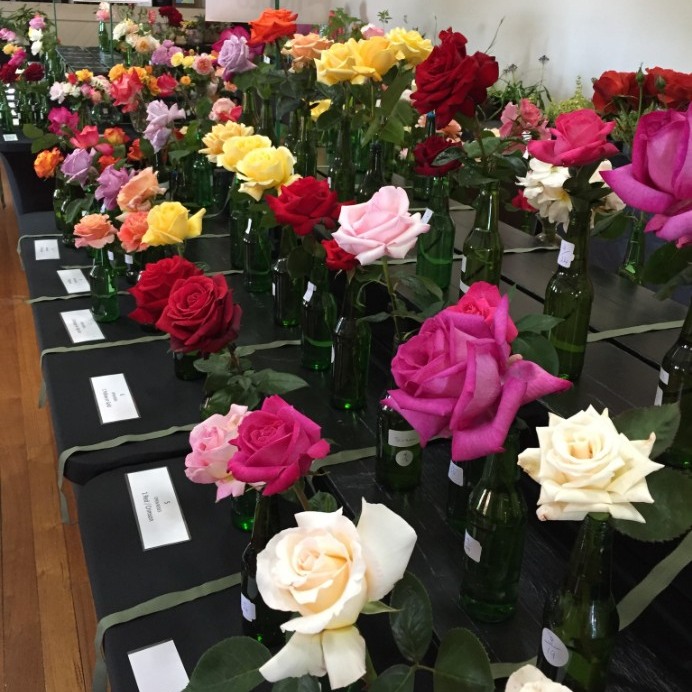 Northern - FLOWER SHOW Longford Garden Club's 57th Annual Flower Show ...