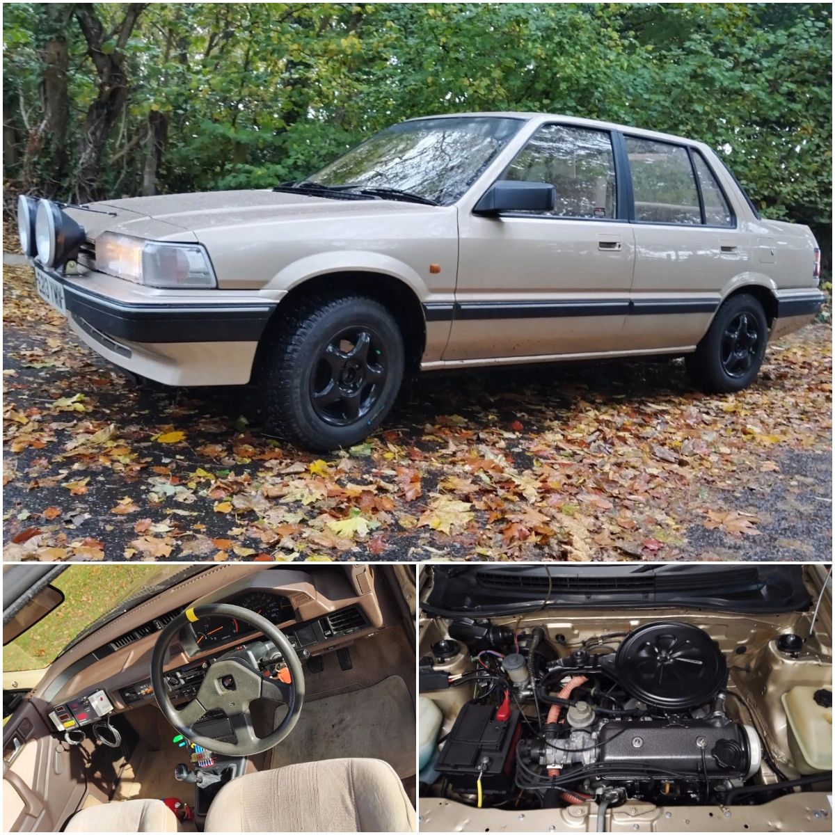 Rover 213s Historic Road Rally Car.... - Rally Cars For Sale | Facebook