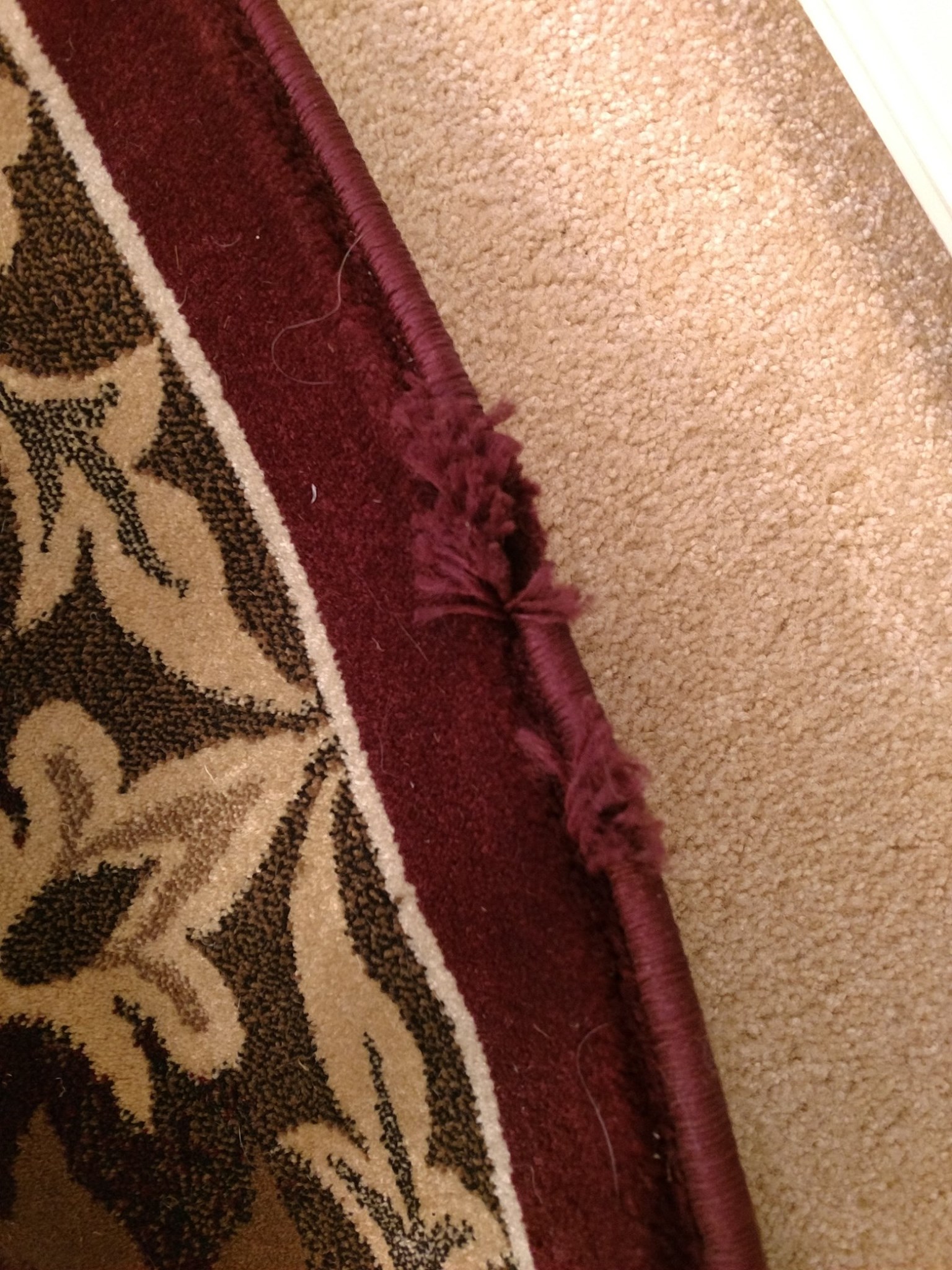Persian style rug NEW 9' x 12 ' Nadeen by Mystique with tag still on it ...