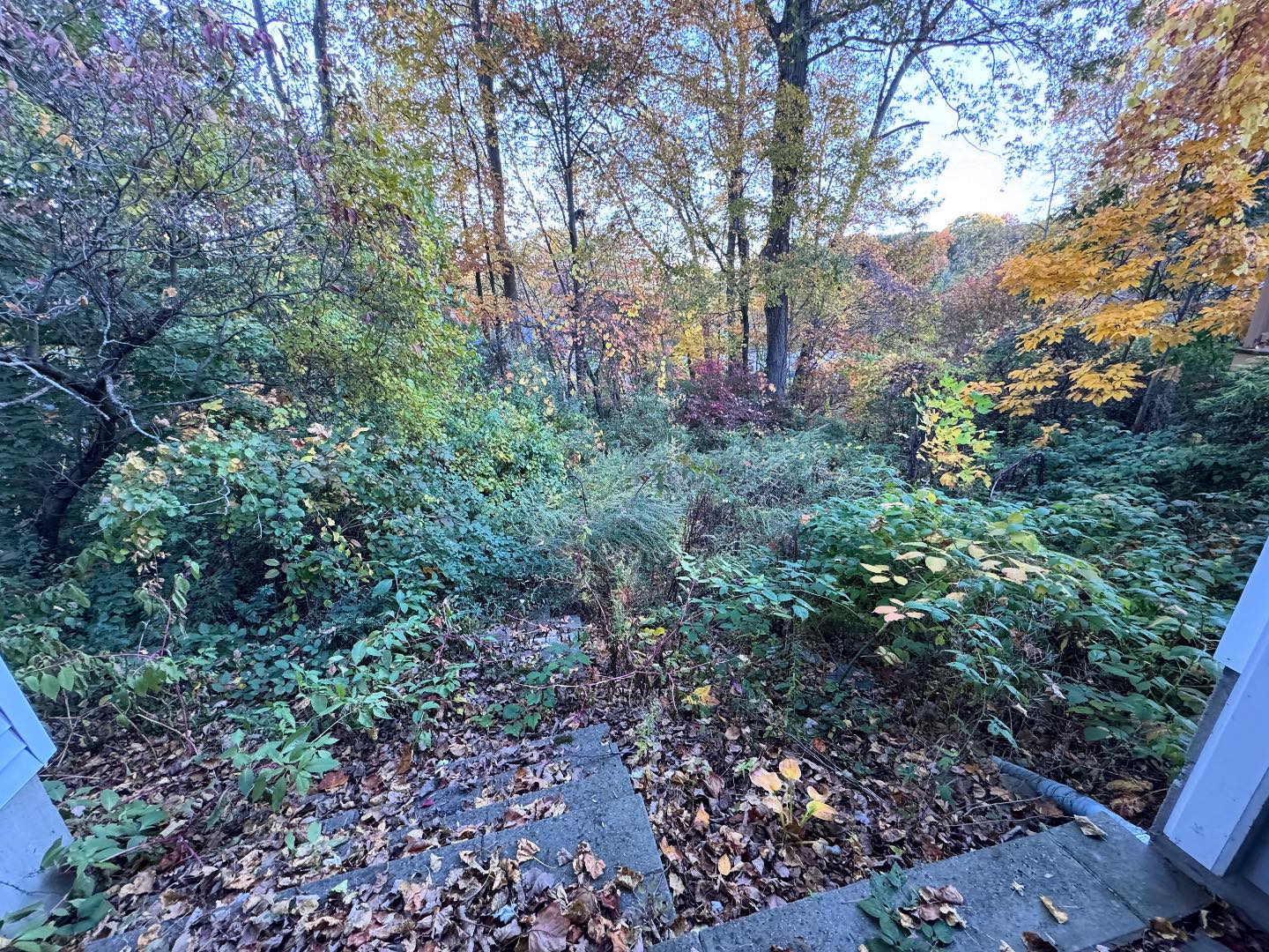 May Landscaping LLC | Bristol CT