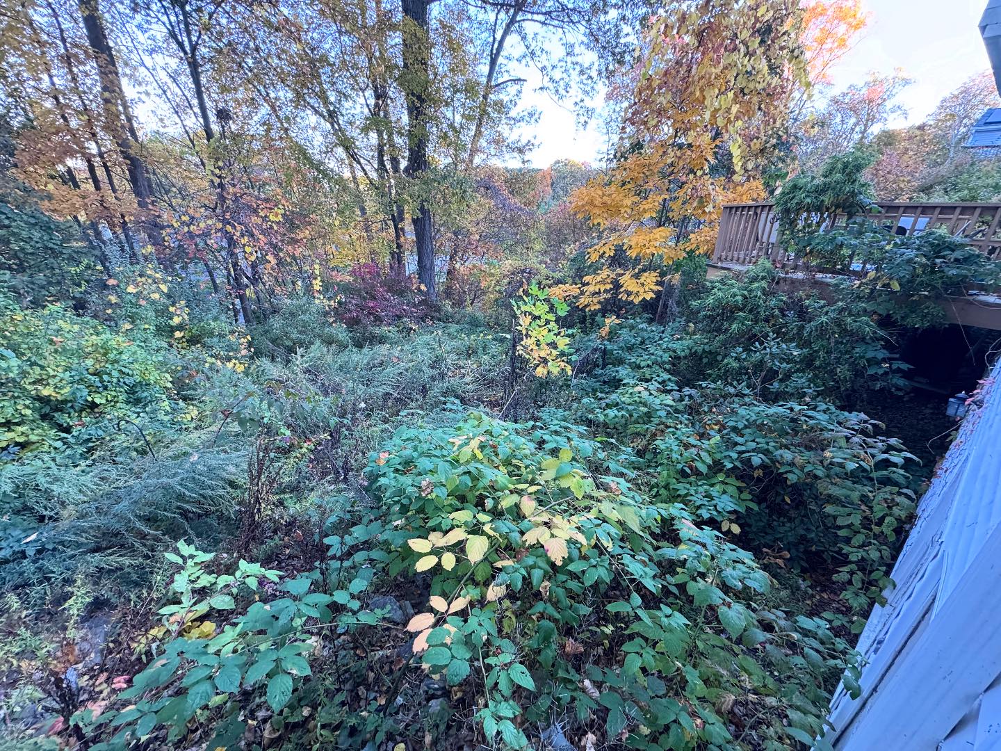 May Landscaping LLC | Bristol CT