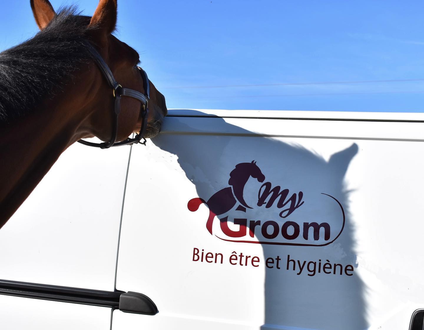 CDN Horse My Groom - Lessive Spéciale Imperméable Et Respirant Pour Couvertures Et Vêtements Équestres