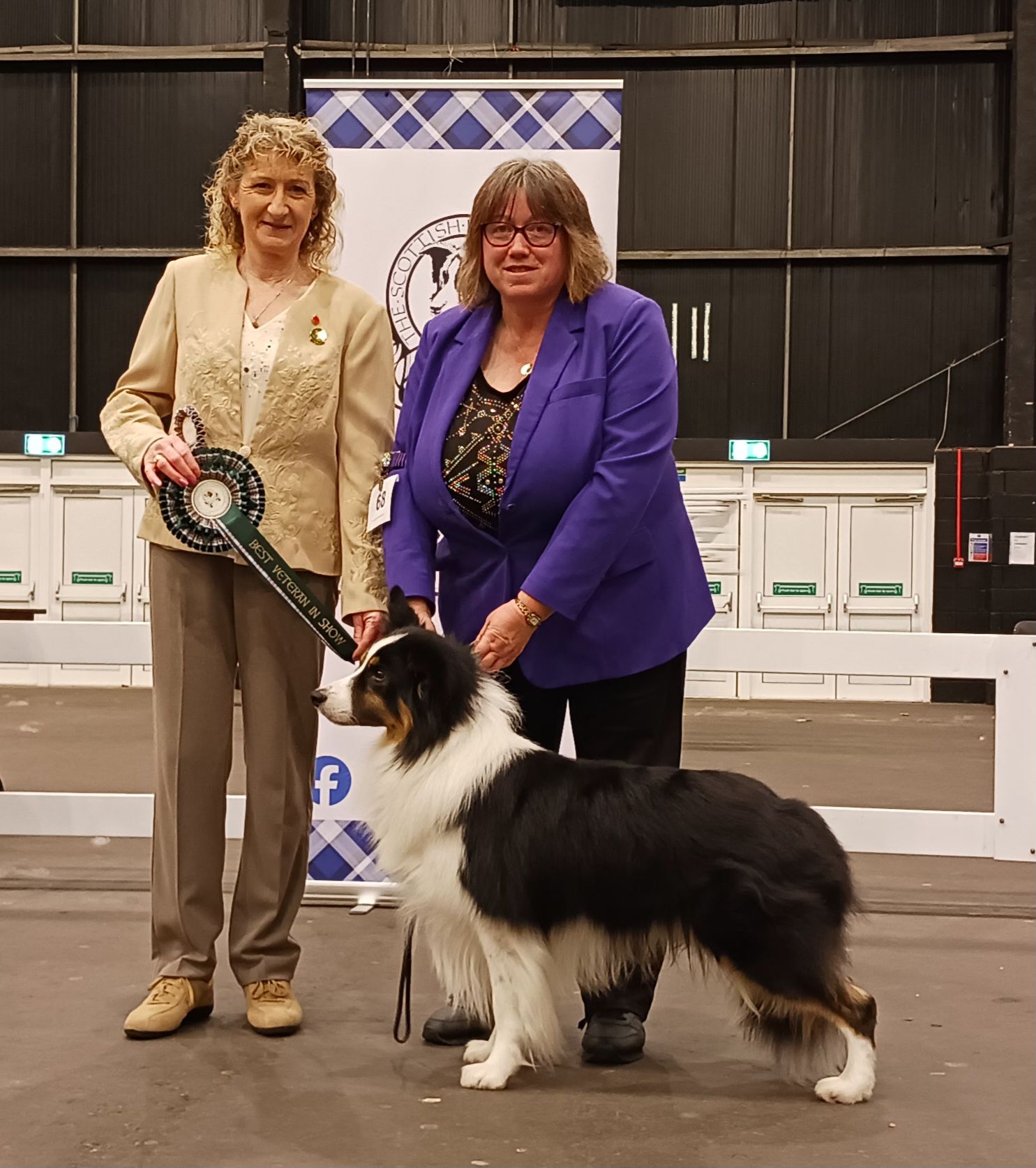 Dog rcc and best veteran in... - Scottish Border Collie Club | Facebook