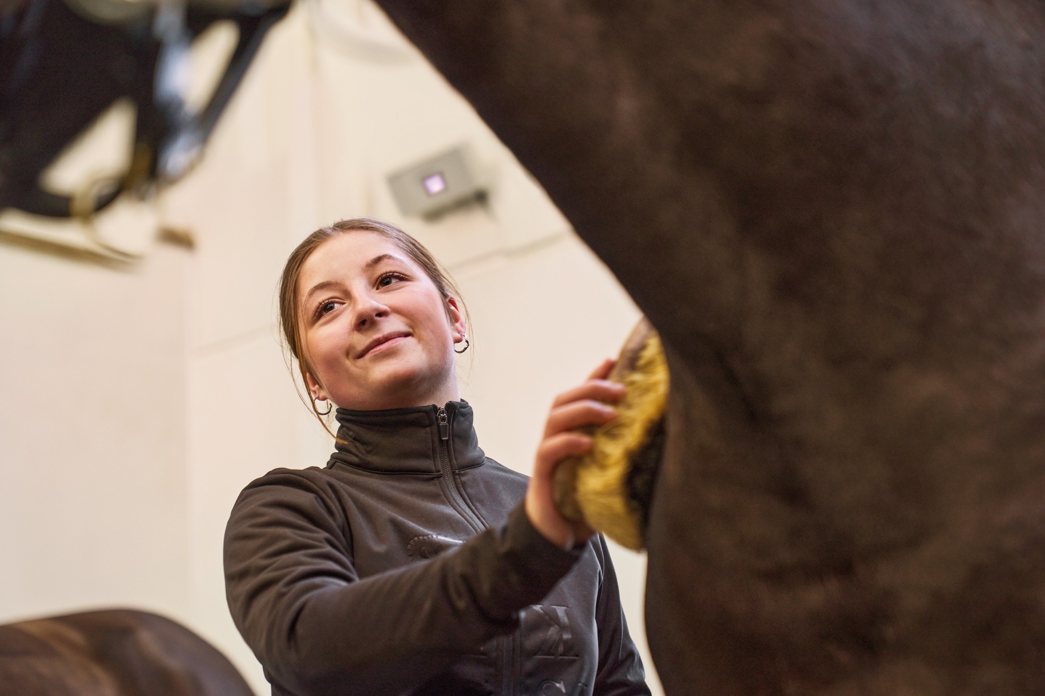 Ruxbury - 🐴 Ruxbury – Your Complete Training Partner for... | Facebook
