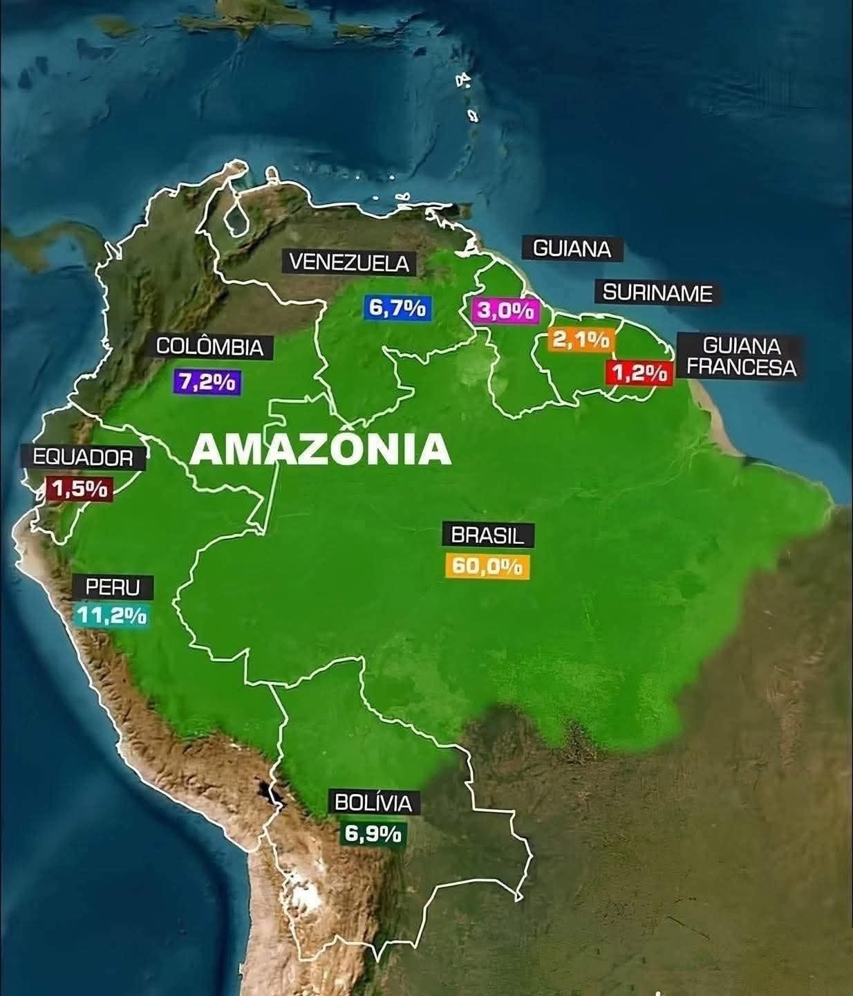 Mundos - AMAZÔNIA... A Floresta Amazônica é o maior bioma de floresta ...