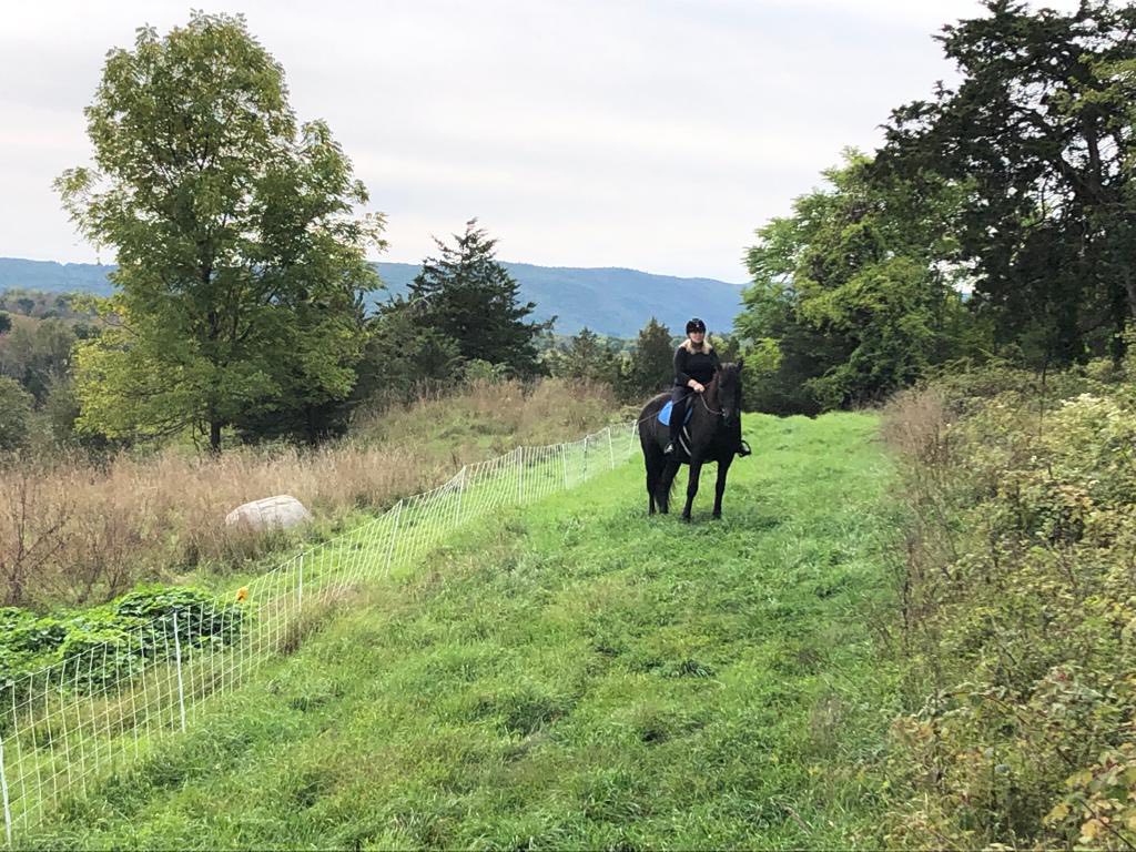 RY Farms - New series - getting to know our boarders.... | Facebook