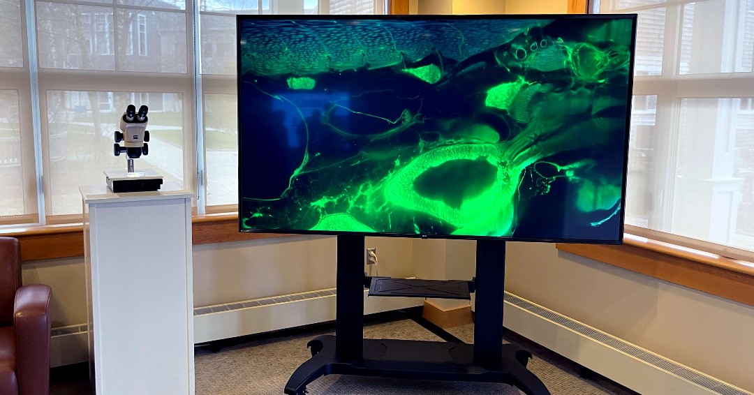 MDI Biological Laboratory | Bar Harbor ME