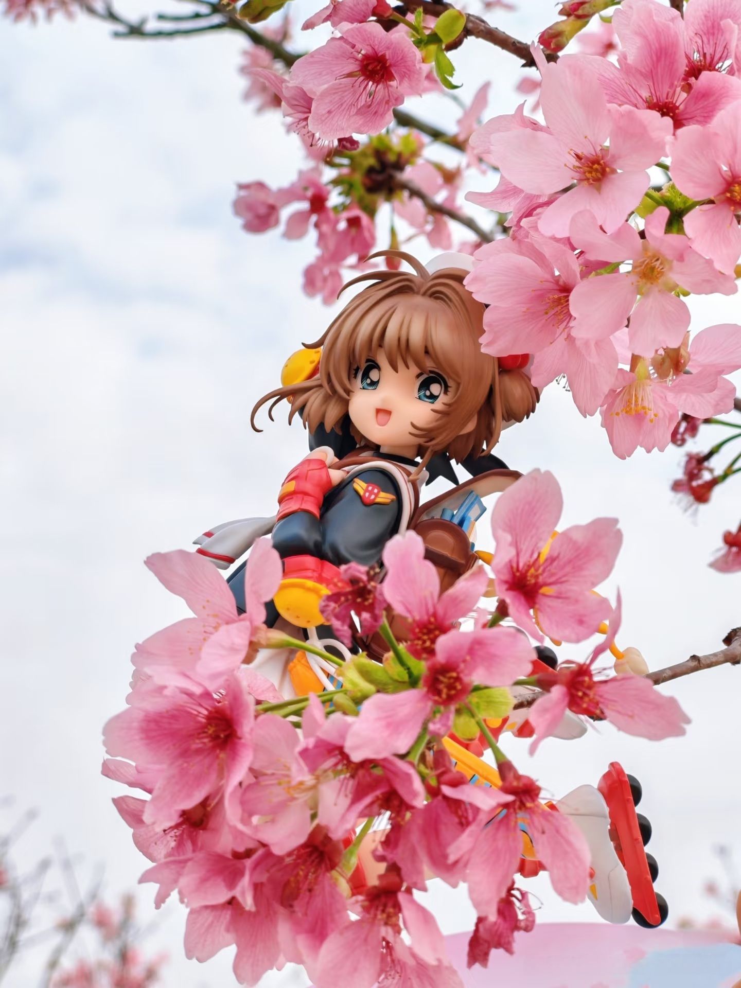 Sakura 🌸 #CLAMP #クランプ #CardCaptorSakura #CCS