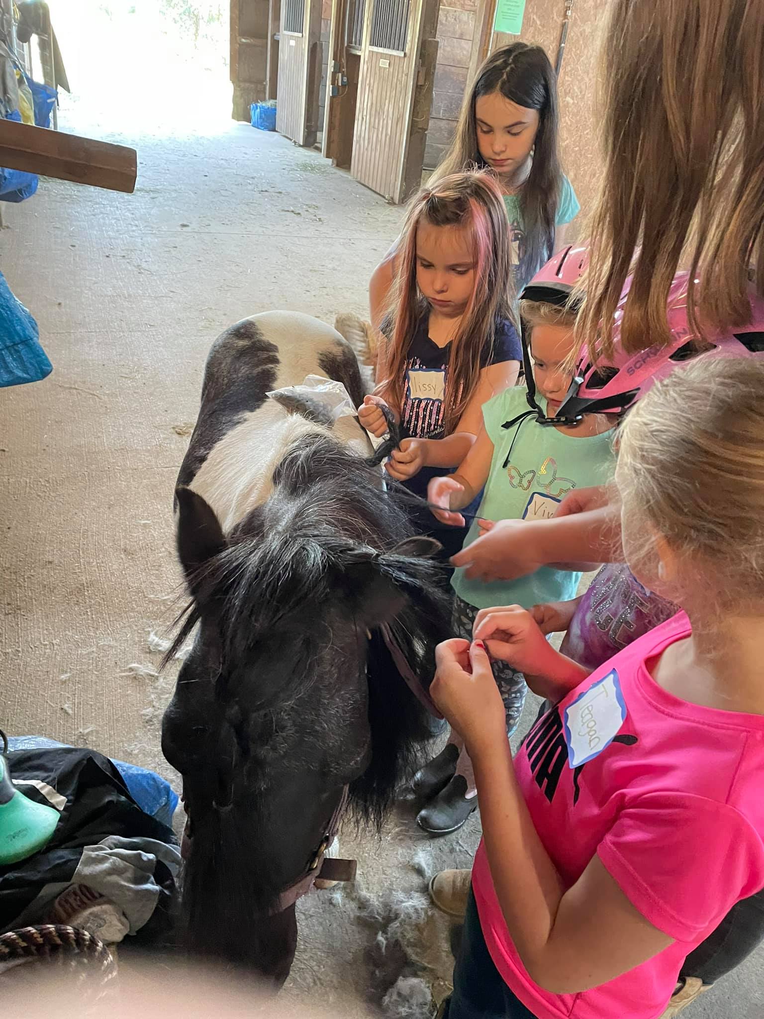 Thunder Rail Stables Riding Academy | Enumclaw WA