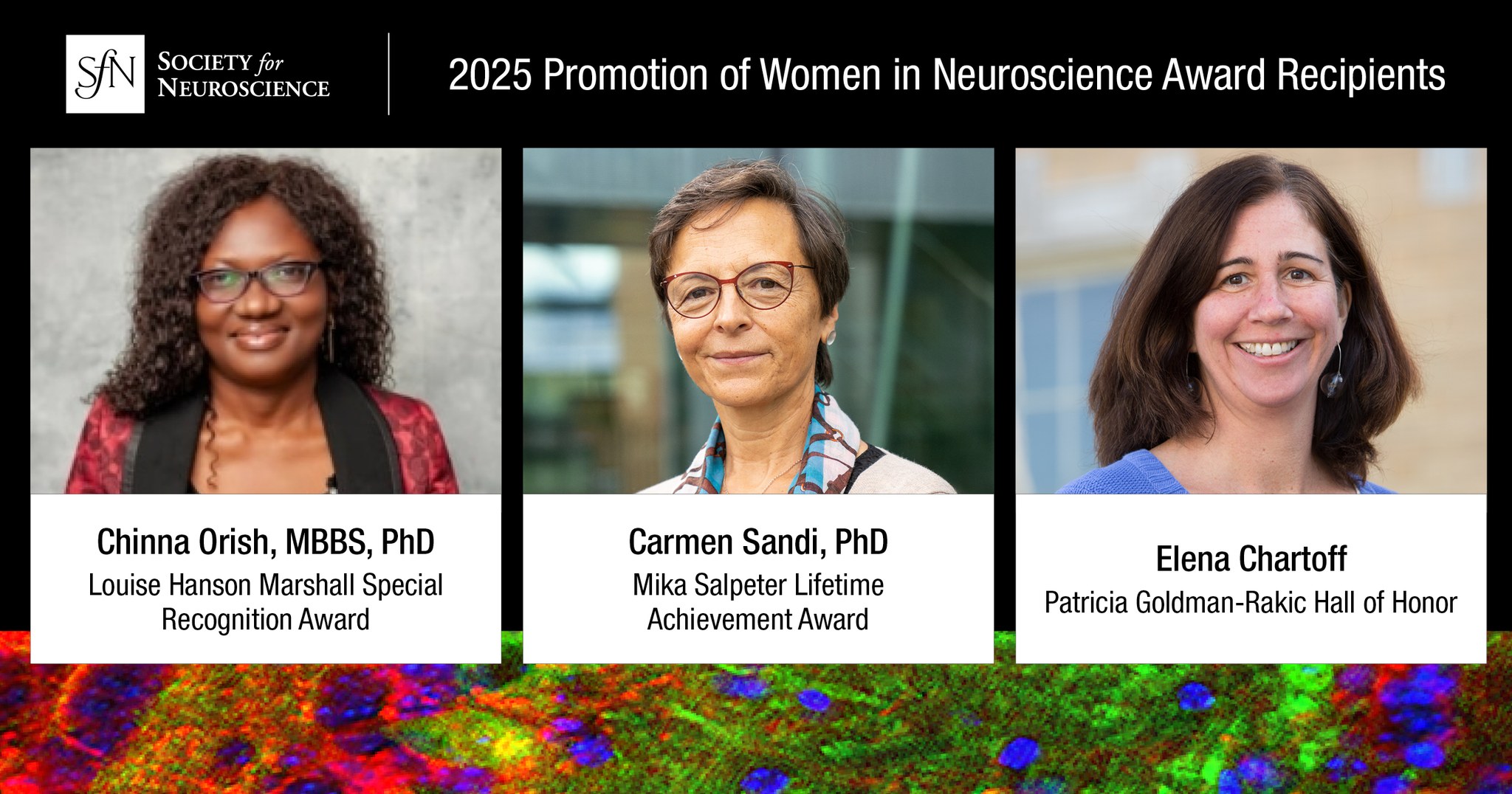 Congratulations to the... - Society for Neuroscience | Facebook