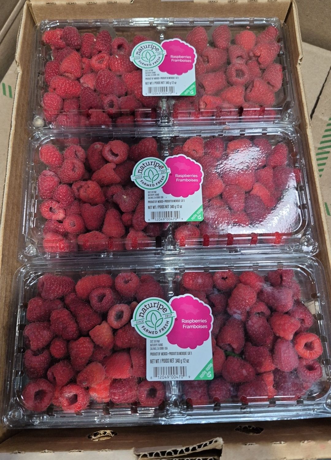 First - SOLD OUT. Raspberries. 99 cents or $3.00 case price (6 per) Ask ...
