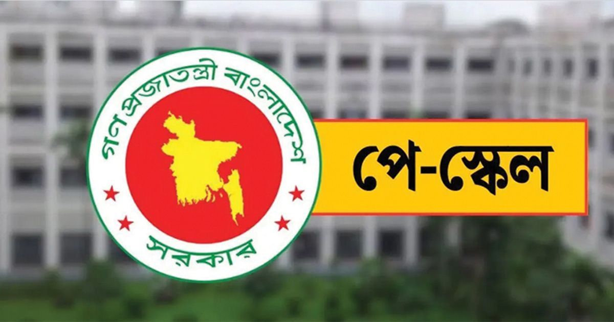 Md Robiul Islam Robi