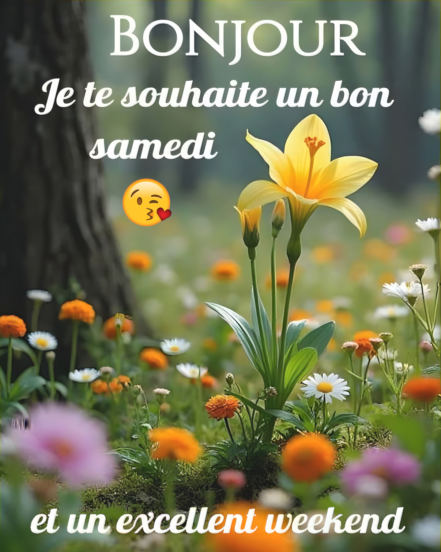 Bonjour, Bon Samedi &... - Les Belles Citations Chez Berti | Facebook