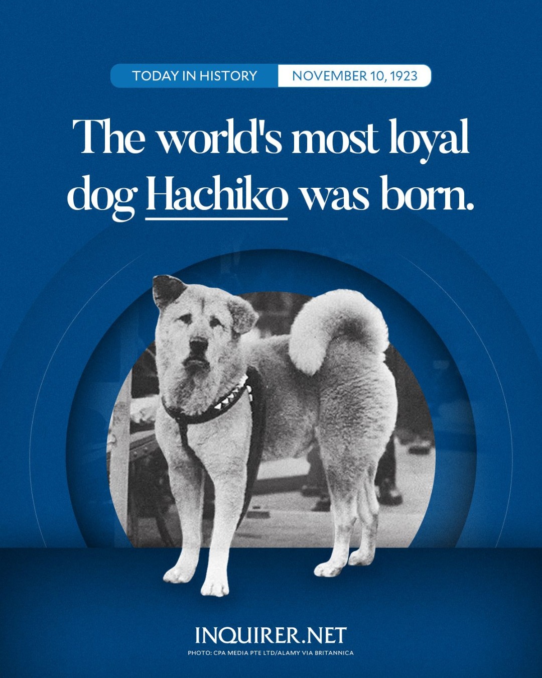 INQUIRER.net - WE WILL NEVER FORGET YOUR LOYALTY 🐾 On this day, we ...