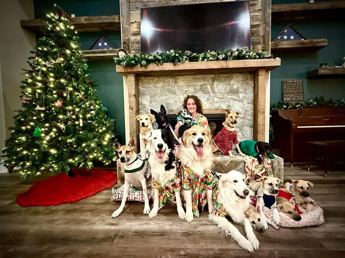 dallas-animal-dallas-animal-services-and-adoption-center