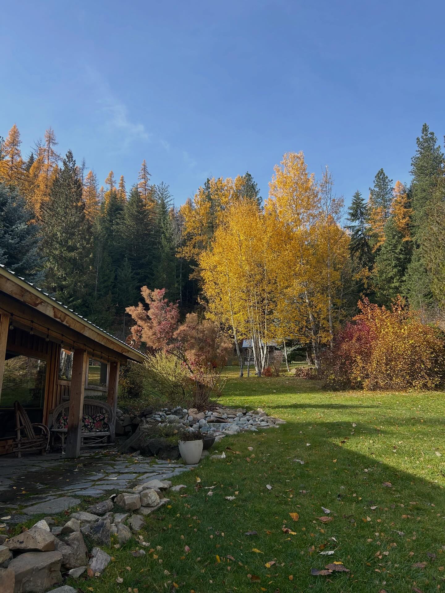 French Gulch Farm and... - French Gulch Farm and Garden