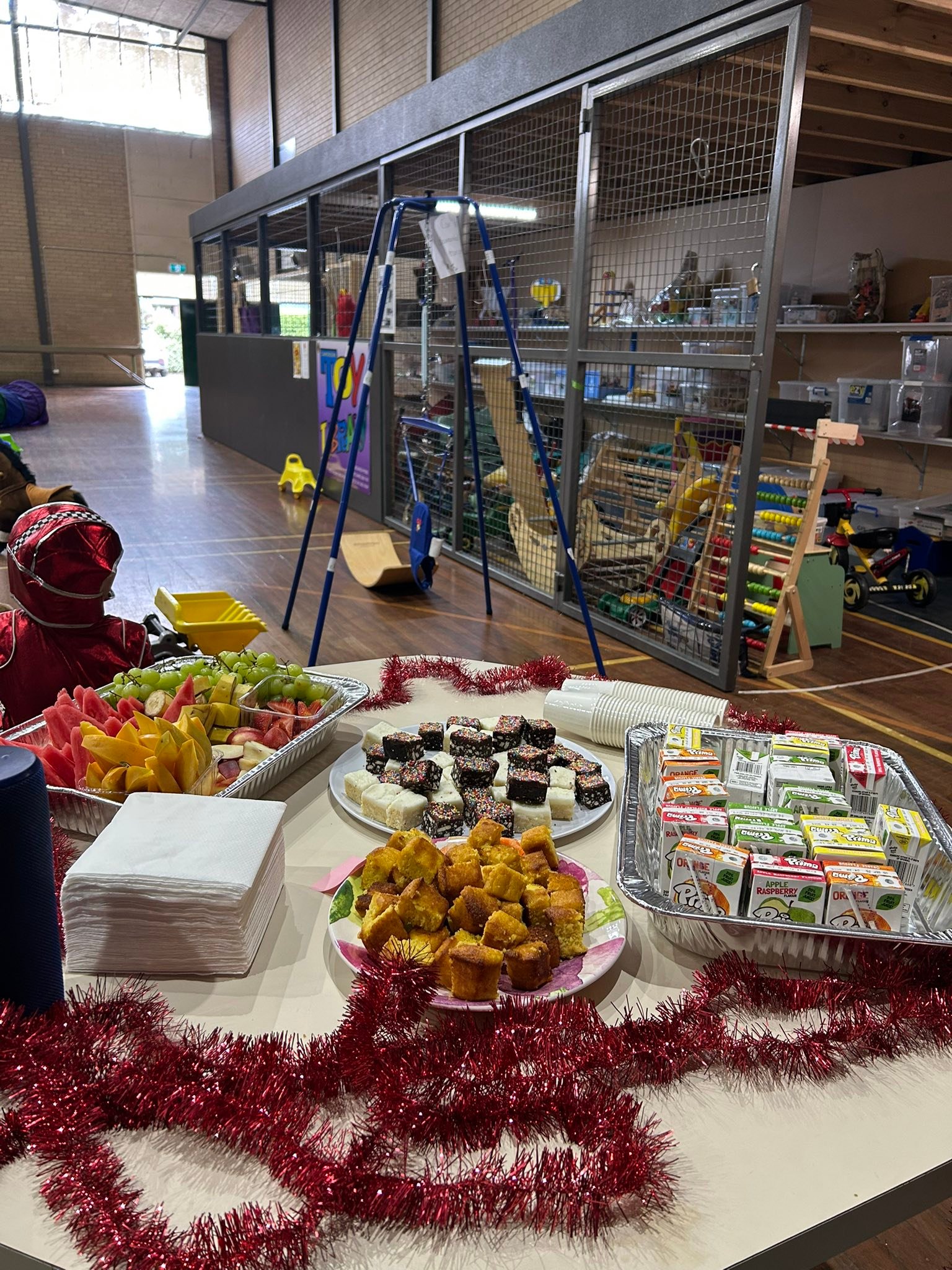 Camperdown Toy Library Inc. | Camperdown VIC