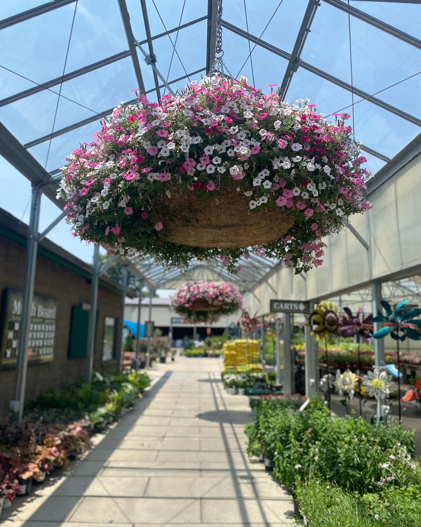 Frank Otte Nursery... - Frank Otte Nursery and Garden Center