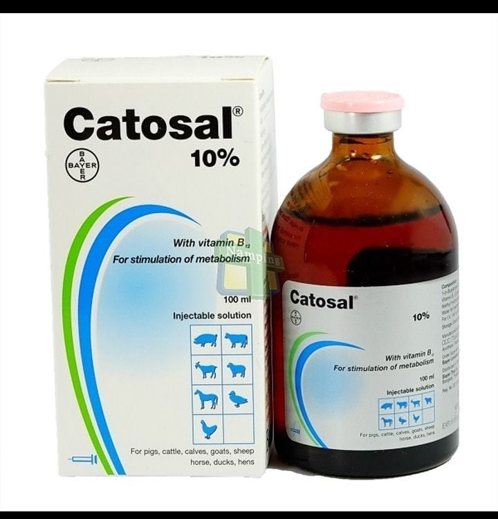 Catosal #คาโตซาล... - ร้านอุปกรณ์ไก่ชน เคหะบางพลี24 | Facebook