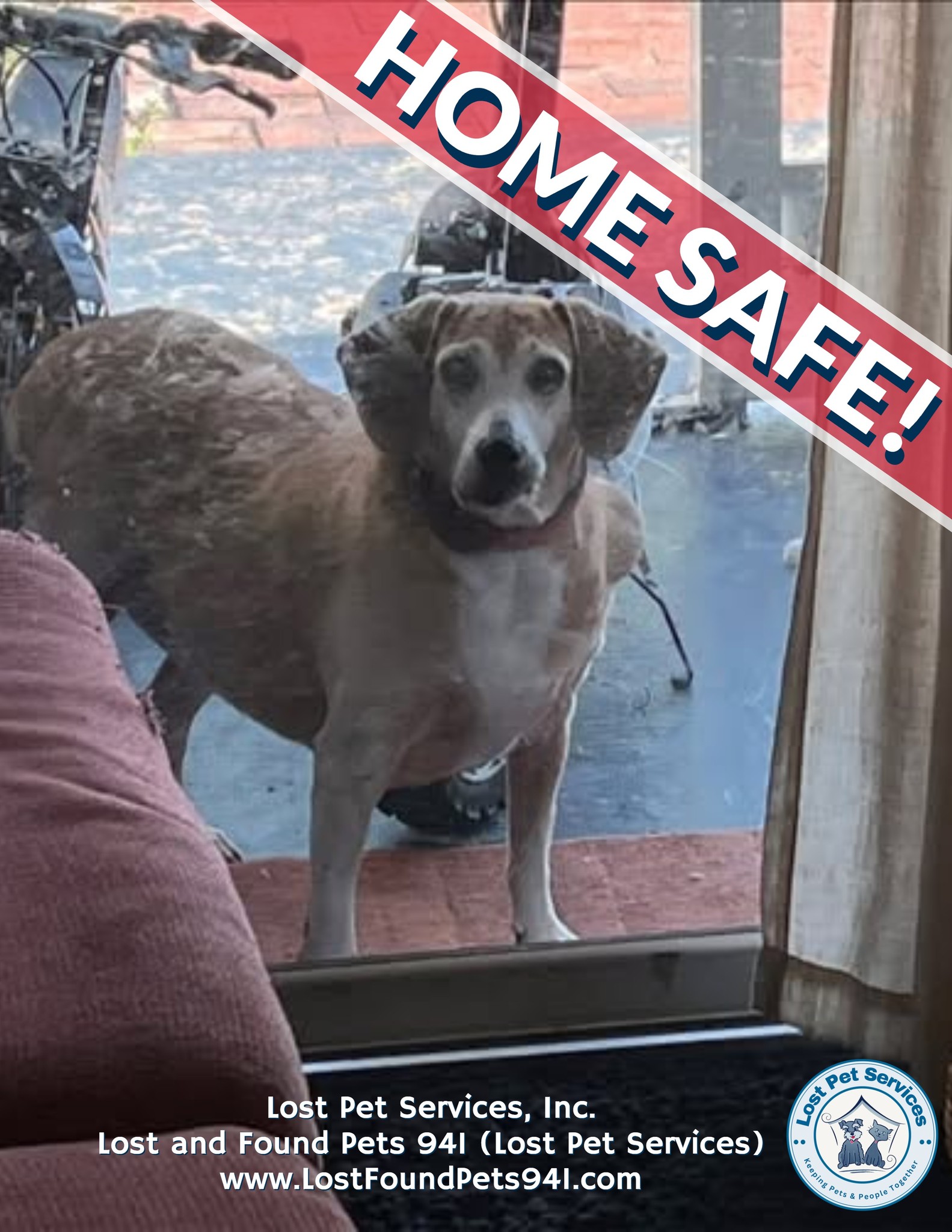 Lost and Found Pets 941 (Lost Pet Services) | 🐶🎃🦇 🏡REUNITED & #