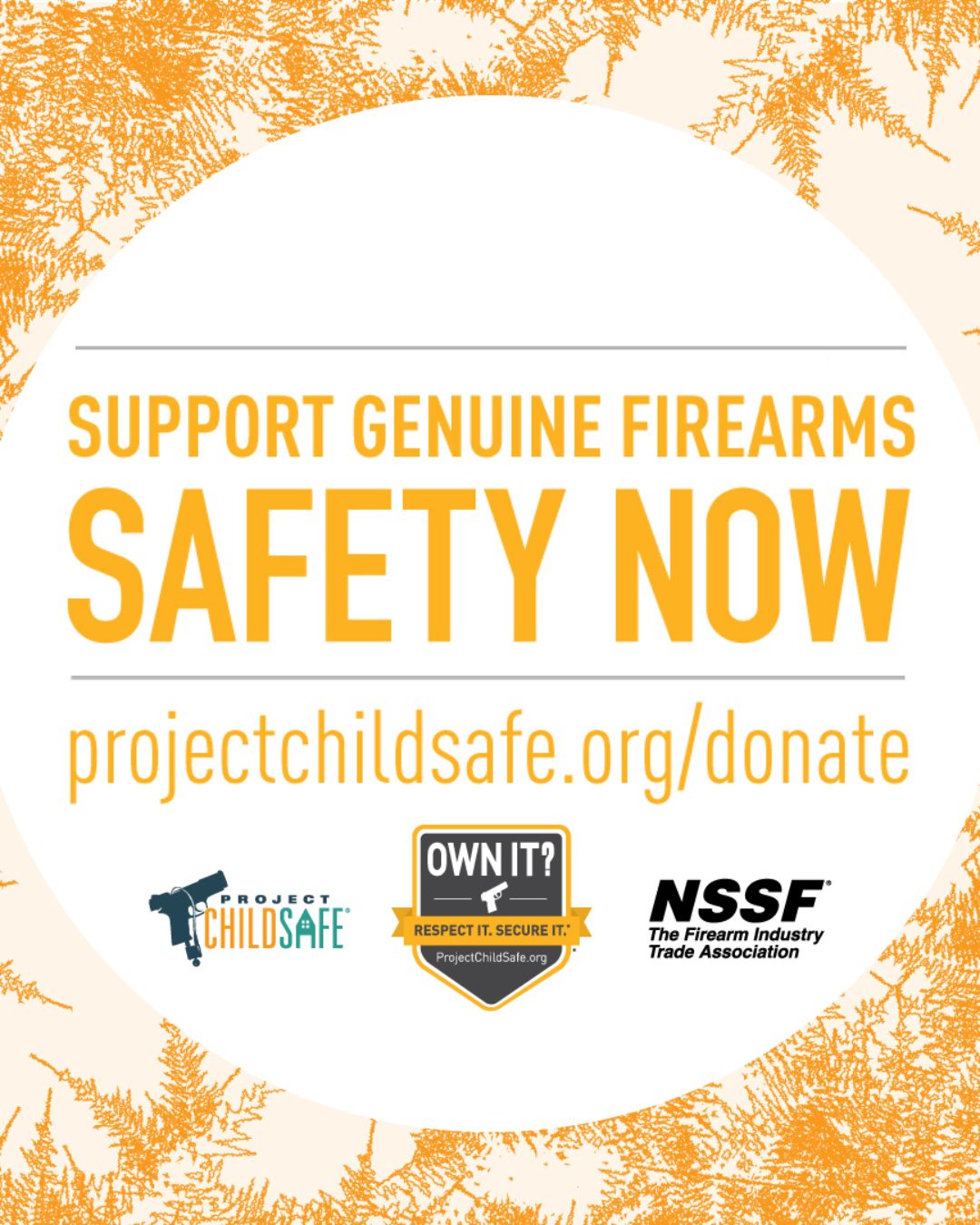 Project ChildSafe