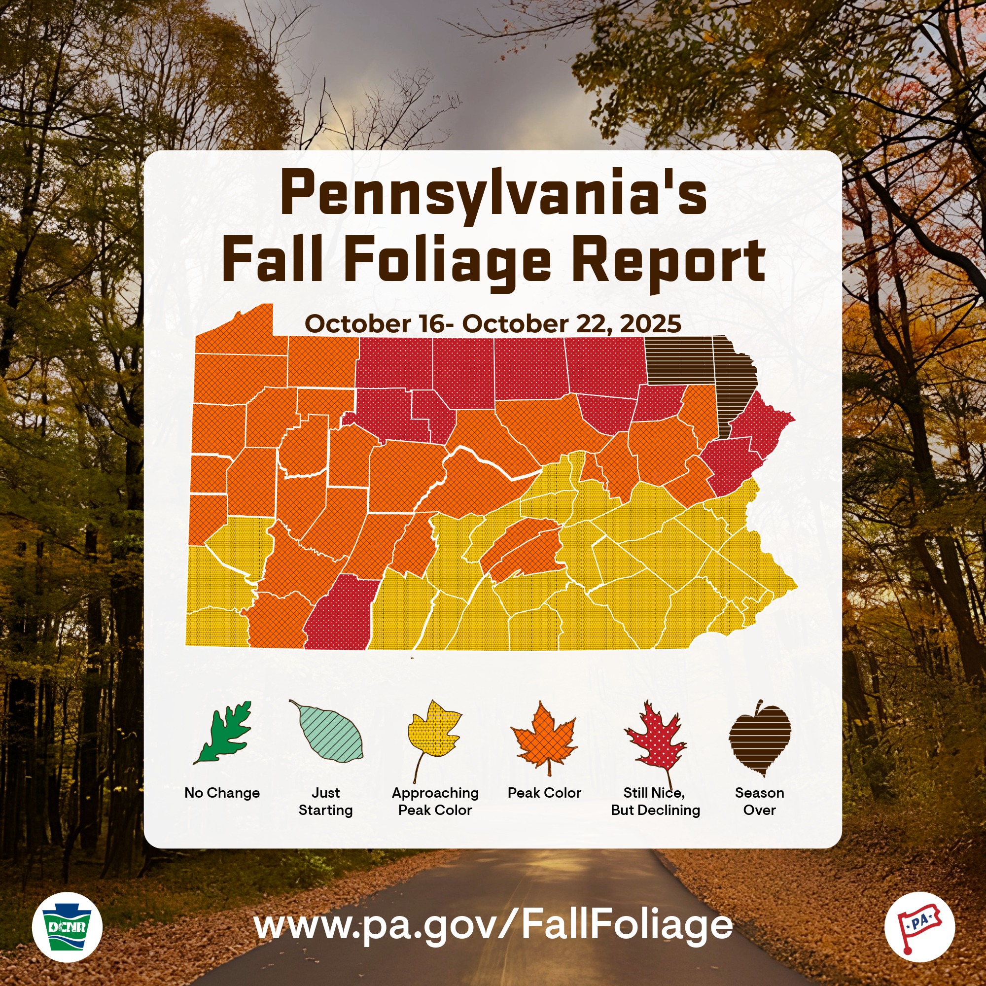 Cumberland - Fall colors are approaching their peak in Cumberland ...