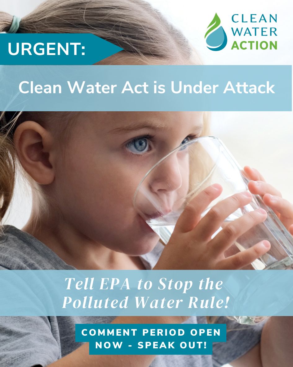 Clean - Streams and wetlands protect our communities by filtering ...