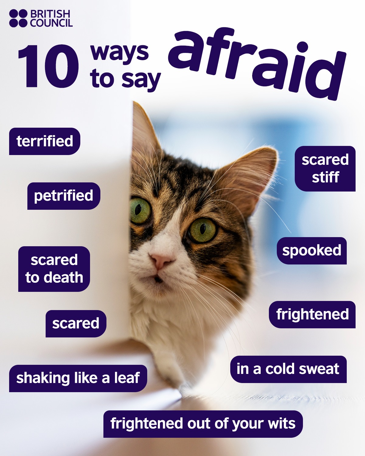LearnEnglish - Can you think of any other words or phrases to describe ...