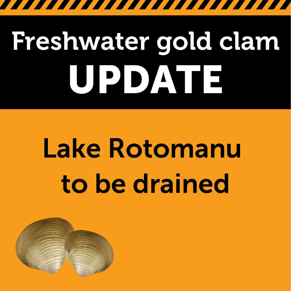 Lake Rotomanu | New Plymouth