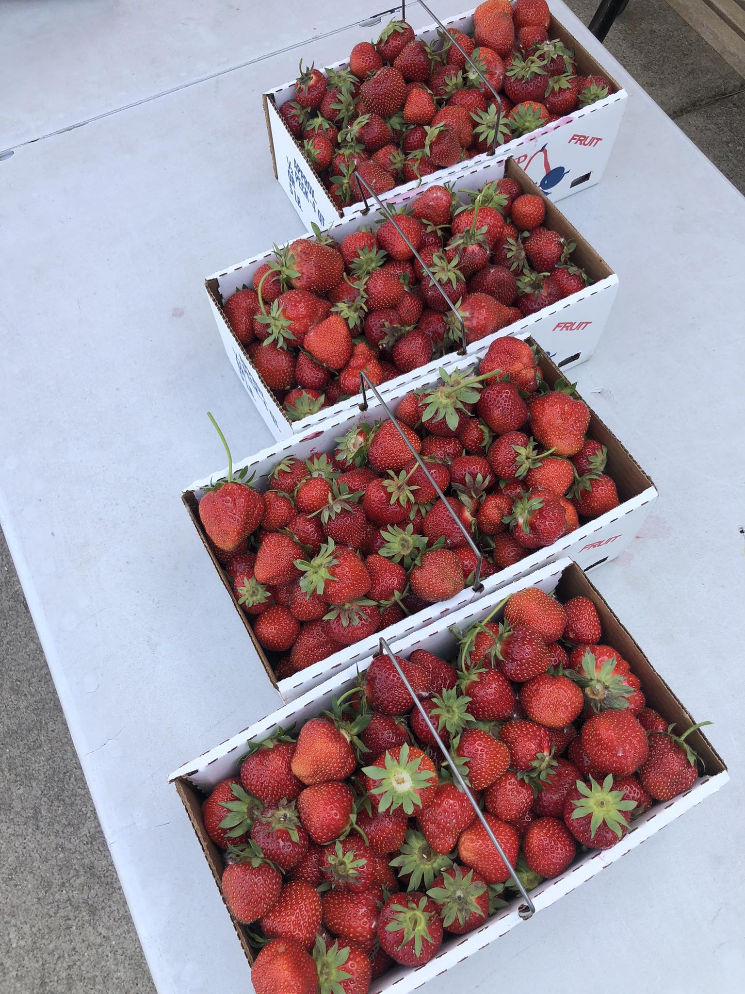 Ziegler's - PRE PICKS ARE SOLD OUT! Thank You!🍓 We have 4 Prepicked ...