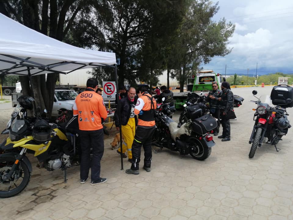 Hamster Rally Cuernavaca H-D Edition | Cuernavaca